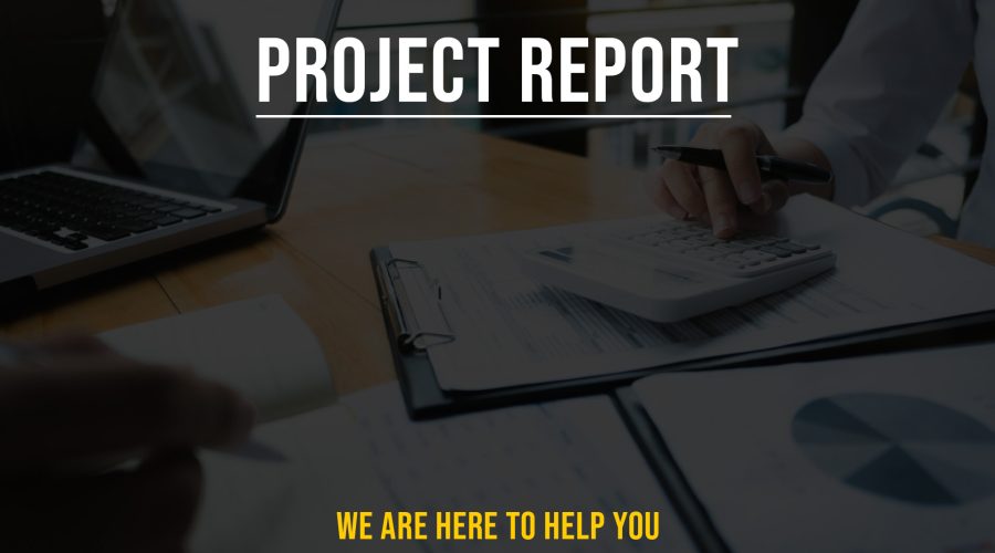project report